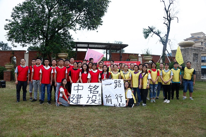 團(tuán)隊(duì)協(xié)作展活力，凝心聚力鑄輝煌